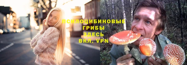герыч Няндома